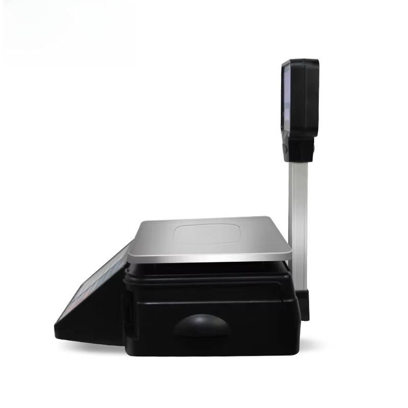 Electronic 30kg Scale Sticky B - đánh giá và giá Weighing Scale Label Printer