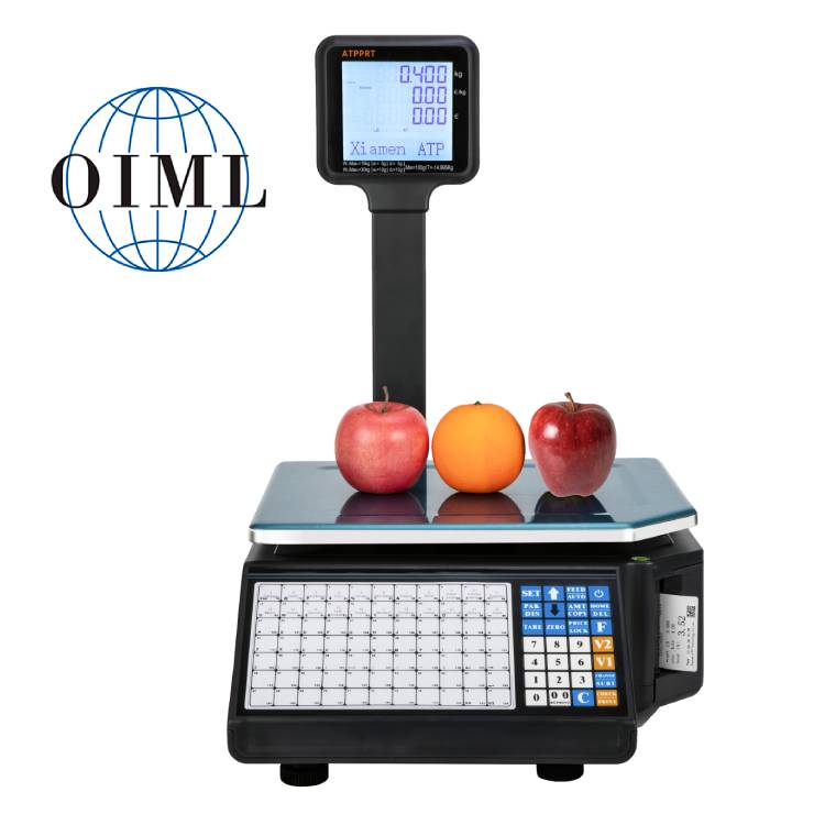 Digital Scale with Printer  We - đánh giá và giá Weighing Scale Label Printer